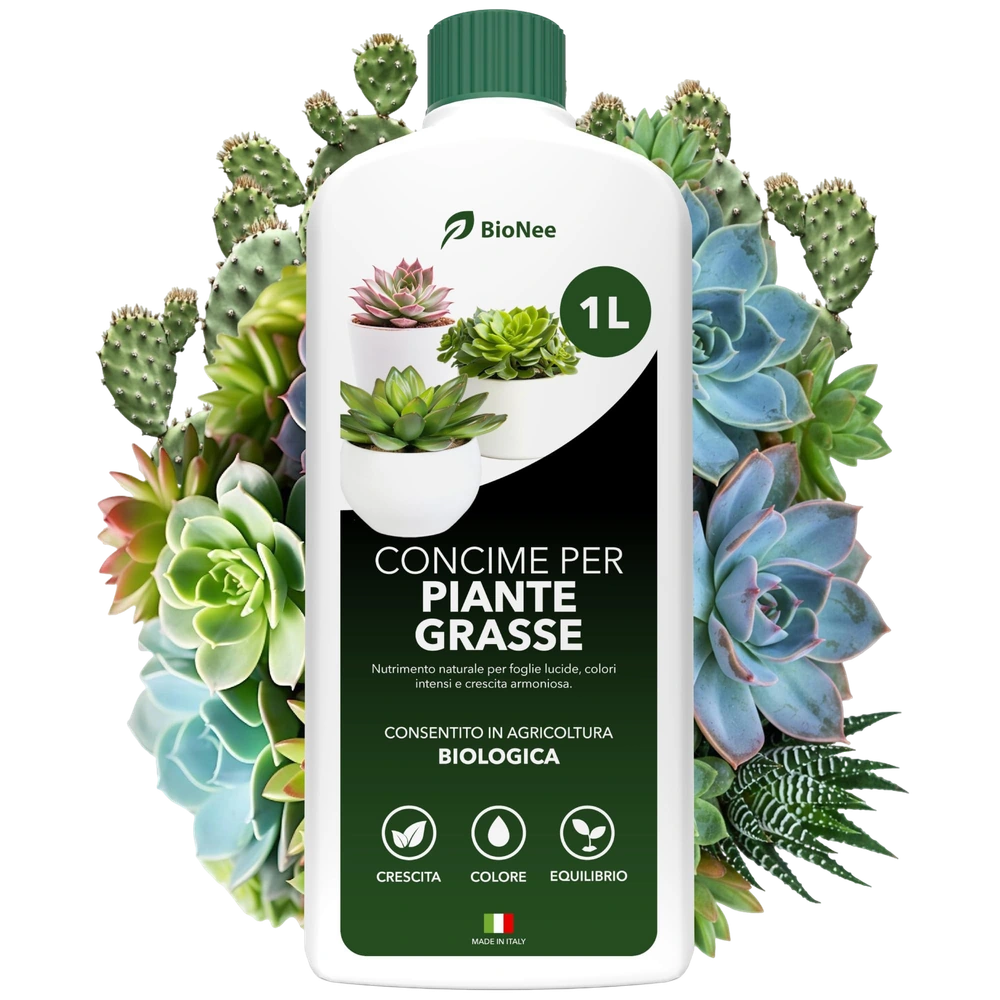 BioNee Concime Biologico per Piante Grasse 1L – Nutrimento Naturale per Cactus e Succulente | Favorisce Colori Intensi, Foglie Lucide e Crescita Armoniosa