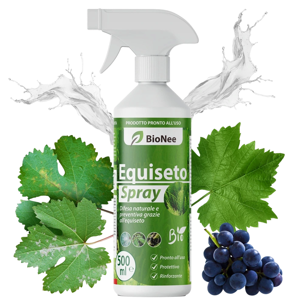 Equiseto Spray 500 ml | Pronto all’Uso | Protettivo Naturale Preventivo | Difesa contro Oidio e Peronospora | Per Orti, Frutteti e Colture Biologiche