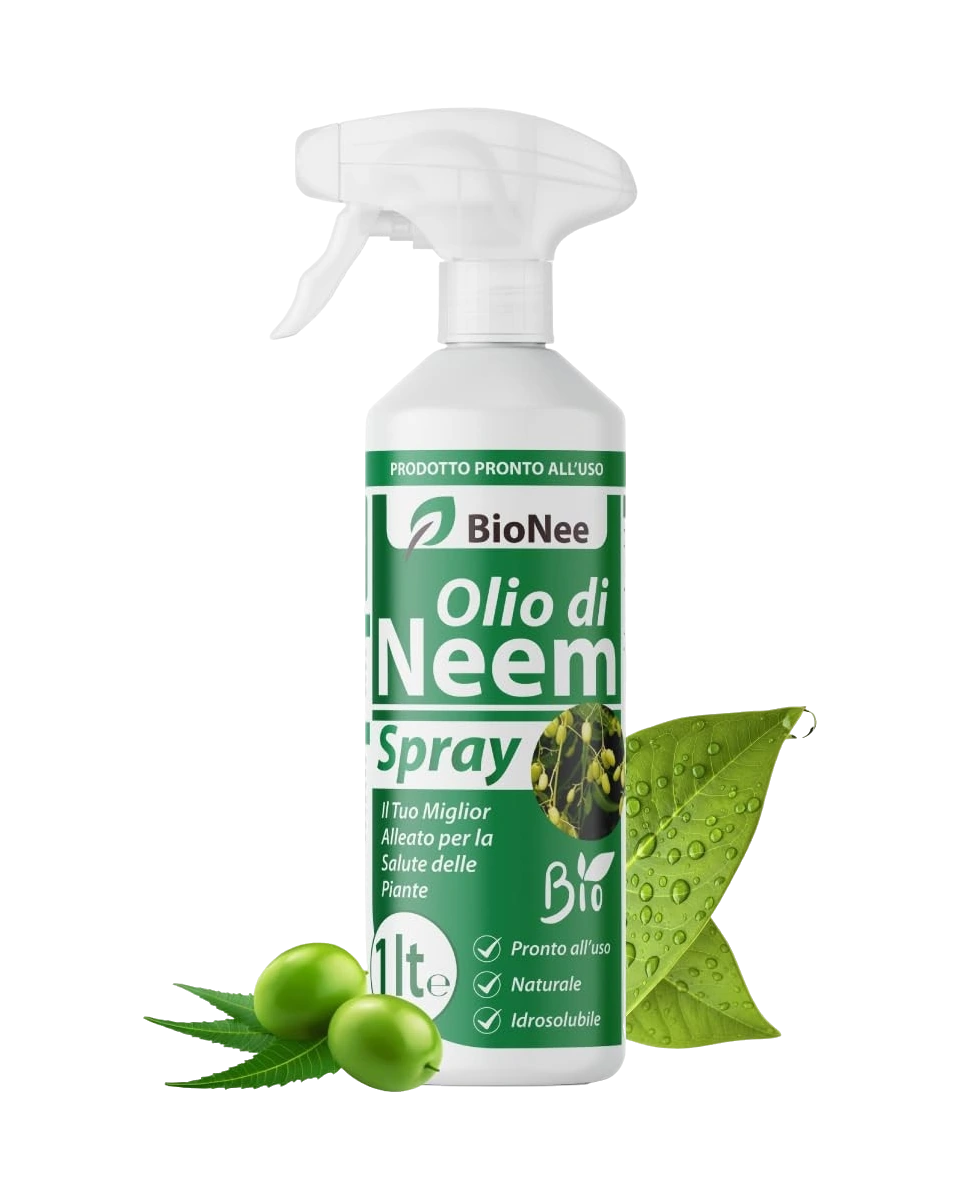 Olio di Neem - insetticida naturale Concentrato - biologico solubile in acqua Spray (1 lt)