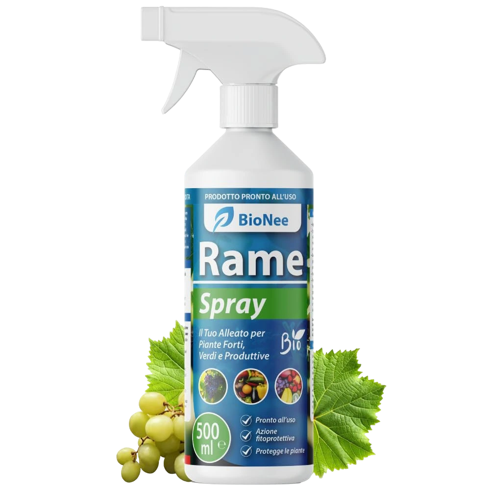 Rame Spray 500 ml – Trattamento naturale pronto all’uso per piante ornamentali, da frutto, orto e giardino – Con rame, caolino e microelementi (ramespray)