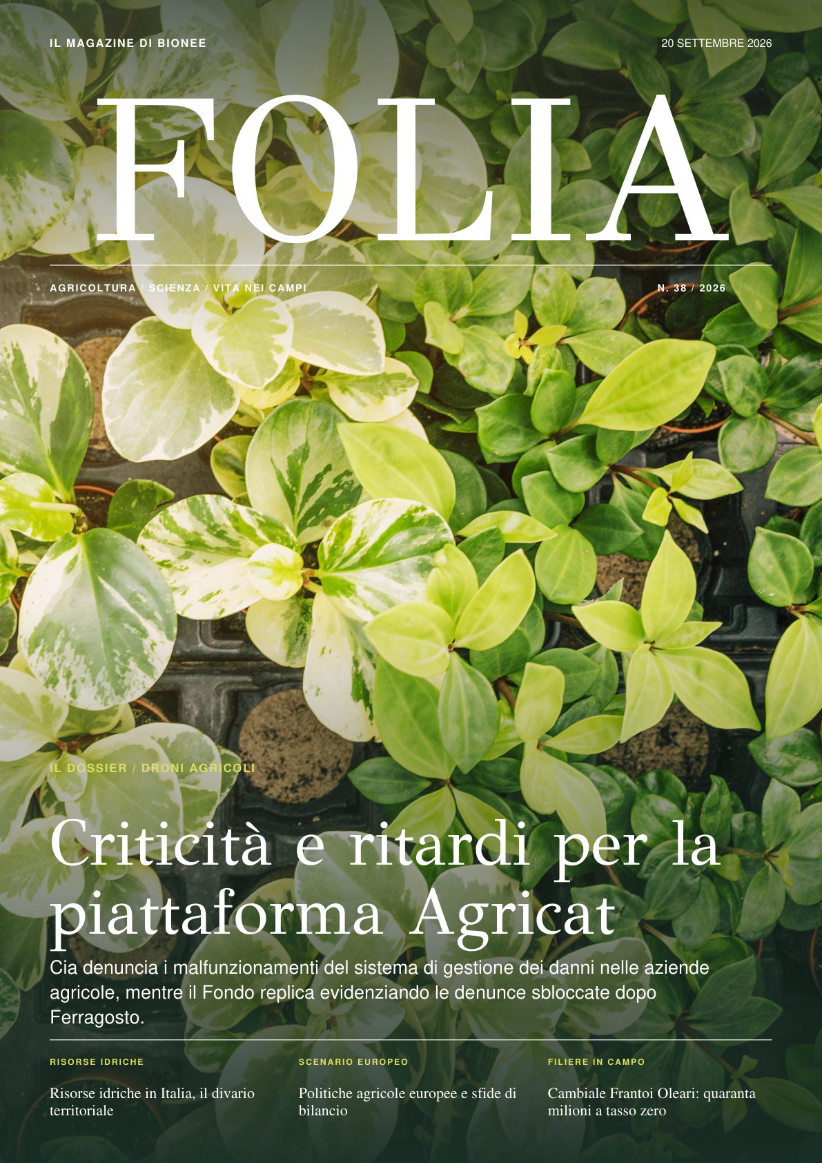 Copertina FOLIA, settimana 38